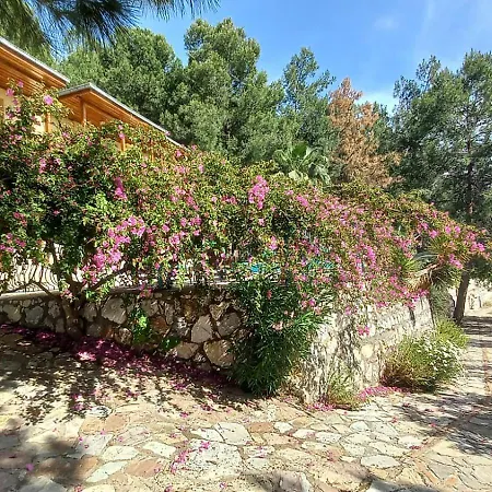 With Sea Views In Faralya Vila