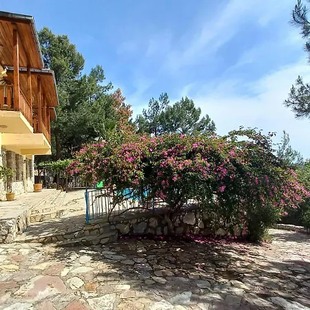 Vila With Sea Views In Faralya *