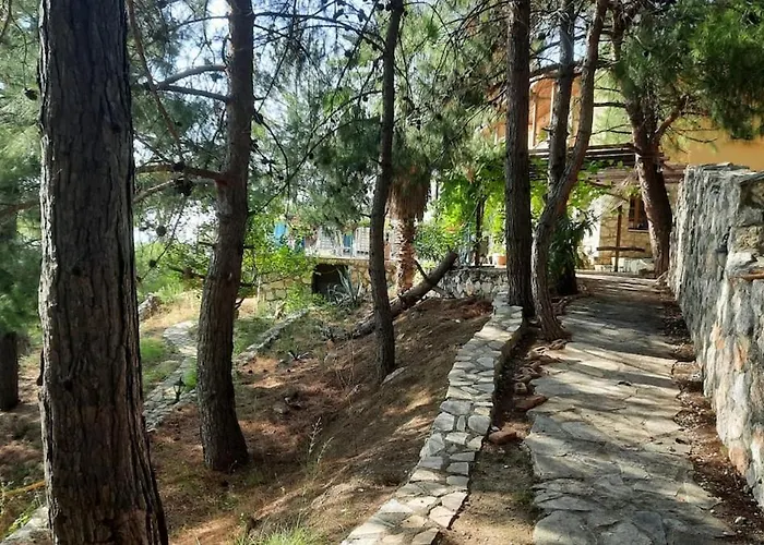 With Sea Views In Faralya 别墅 费特希耶