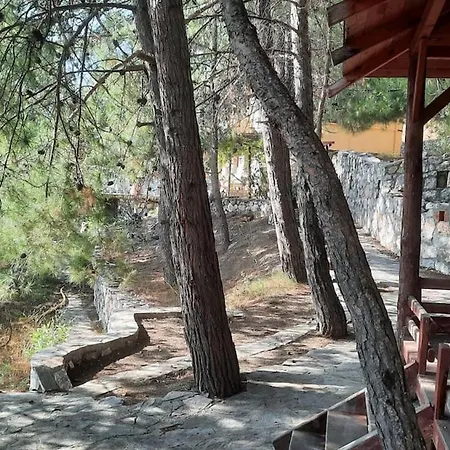 With Sea Views In Faralya フェティエ