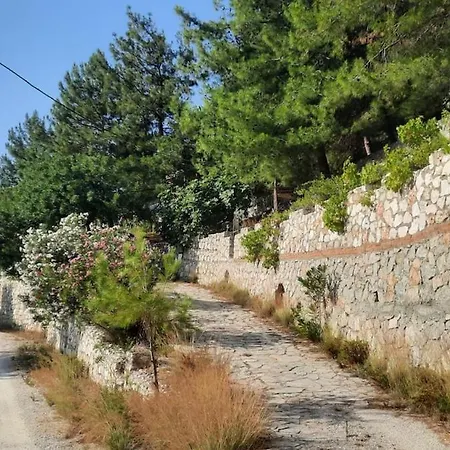 With Sea Views In Faralya フェティエ