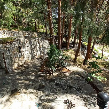 With Sea Views In Faralya フェティエ