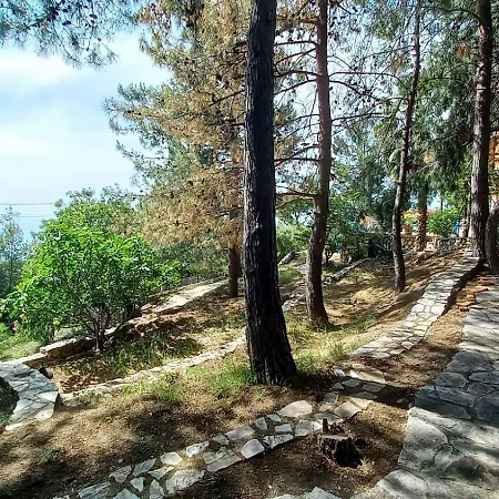 With Sea Views In Faralya * フェティエ