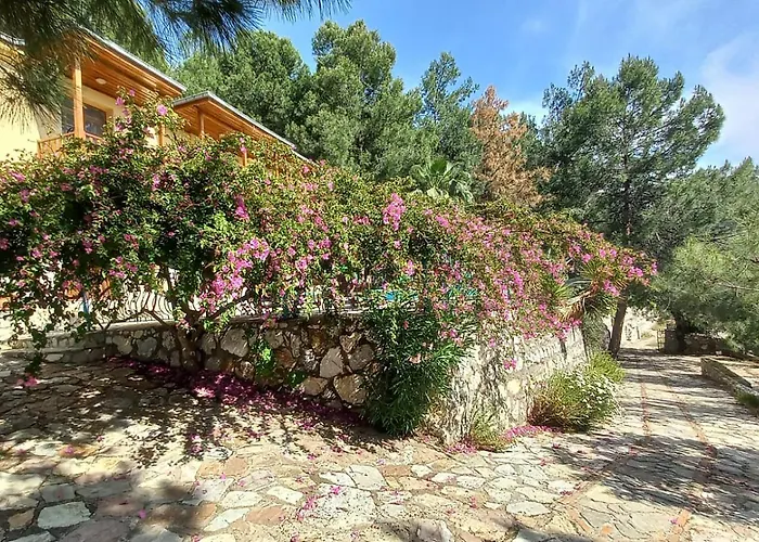 With Sea Views In Faralya Vila