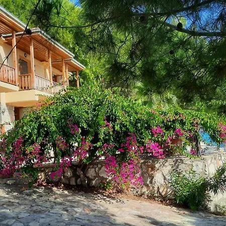 With Sea Views In Faralya Vilă *