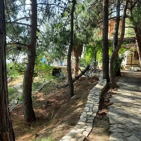 With Sea Views In Faralya Vilă Fethiye